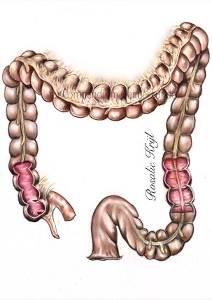 medical13