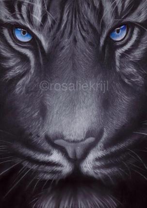 2014-Blue-Mist